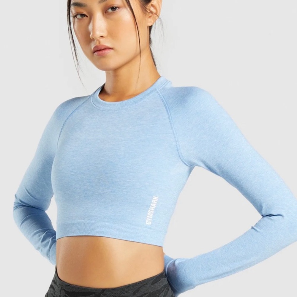 ADAPT MARL SEAMLESS LONG SLEEVE CROP TOP